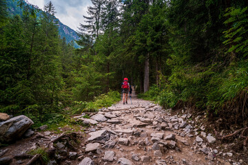 Fototapeta na wymiar Woman hiker with large backpack and Nordic or trekking poles in forest on rocky path in summer day, female solo trekking in the mountain, Europe