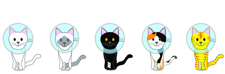 A group of skinny cats with Elizabethan collar 