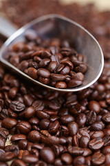 coffee beans in the spoon