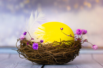 Easter nest. Bright yellow chicken egg, white feather in bird's nest decorated with small purple flowers on wooden table. Festive composition 2022 macro shot. Happy Easter. Spring holidays background.