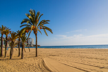 landscape of Benidorm Spain in a sunny day on the seashore