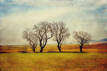  serene minimalist landscape aragon spain in winter day