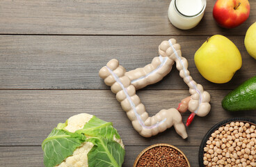 Layout of intestine model and products to help digestion on wooden table, top view. Space for text