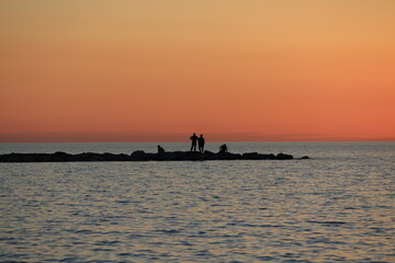 watching the sunset