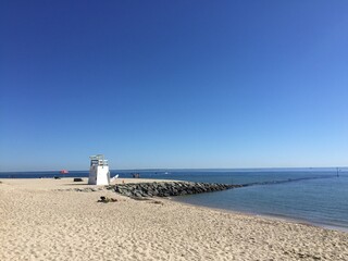 blue water on the river, trees
