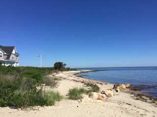 blue water on the river, trees
