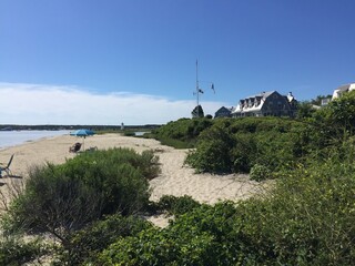 blue water on the river, trees