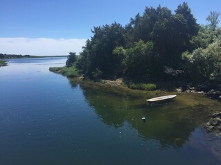 blue water on the river, trees