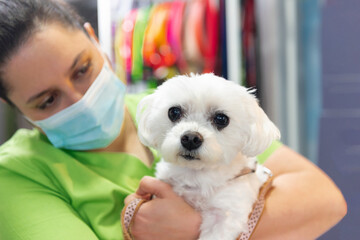 Veterinary woman in a medical mask holding a small white dog without breed in her arms. pet healthcare.