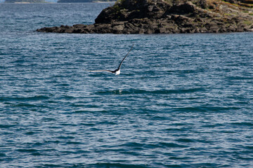 Obraz premium PAISAJES EN BARILOCHE