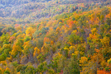 View of fall foliage from the Appalachian Trail near Pearisburg, Virginia