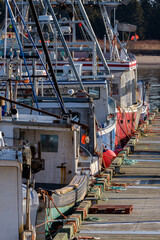 Lobster Fishing Boats Docked at Wharf in Early Morning