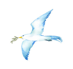 木の枝を運ぶ青い鳥