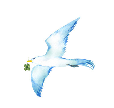 青い鳥 Images – Browse 11,156 Stock Photos, Vectors, and Video