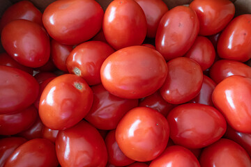Pile of fresh raw tomatoes on display in shop