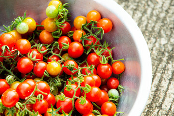 cherry tomatoes in a bowl