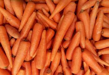 background texture of fresh large orange carrots vegetables in supermarket.