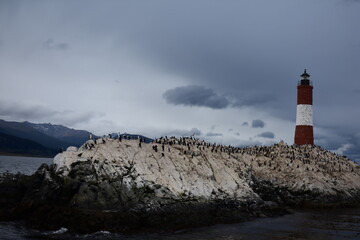 Lighthouse Ushuaia Landscape Fin del Mundo Argentina Tierra del Fuego