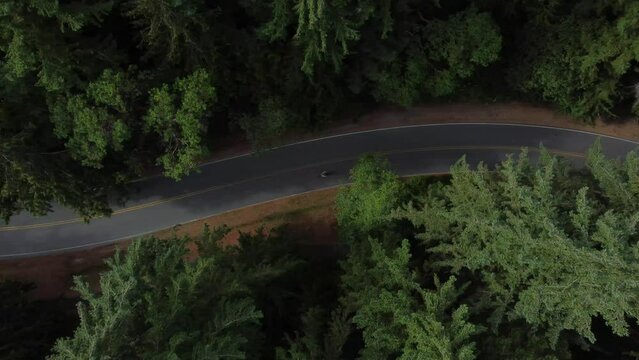biking through the forest 