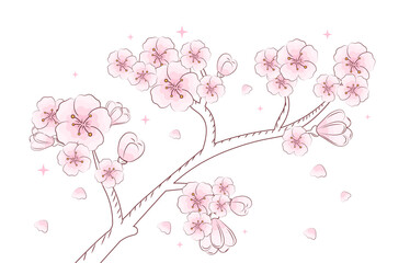 Cherry line art blossom