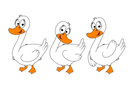 cute goose animal cartoon illustration