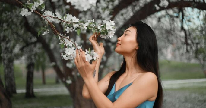 Woman in blooming apple trees