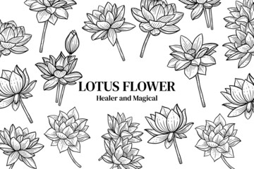 Hand Drawn Flower Lotus Background illustration