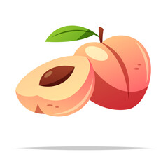 Peach fruit vector isolated illustration