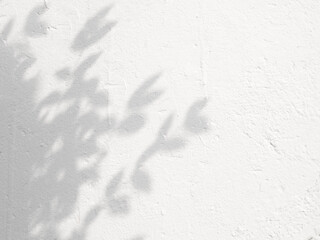 Natural leaf plant tree branch shadows on white cement background .