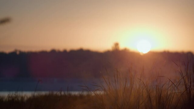 Beautiful autumn sunrise background. Golden sky over tranquil marsh landscape. 