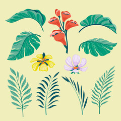 Tropical collection with exotic flowers and leaves