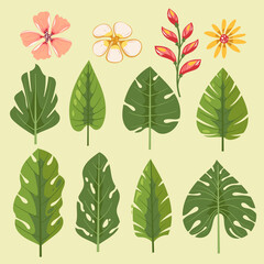 Fototapeta premium Tropical collection with exotic flowers and leaves