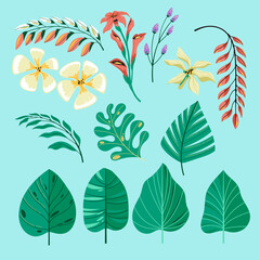 Fototapeta na wymiar Tropical collection with exotic flowers and leaves