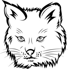 Fototapeta na wymiar Bearcat Mascot - Vector Illusrations for T-shirts and Logos