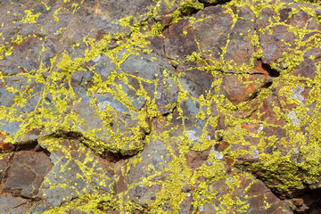 Red and yellow rocks with green moss