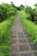 Fototapeta na wymiar Campuhan Jogging track in Ubud empty due to pandemic. Taken January 2022.