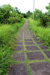 Campuhan Jogging track in Ubud empty due to pandemic. Taken January 2022.