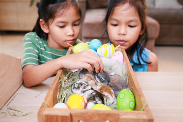 Asian siblings children are playing with baby bunny and decorating easter eggs preparing for Easter...