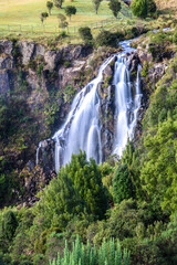 Waratah Waterfall