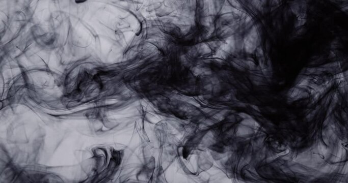 The black ink in the water moves like thick smoke.