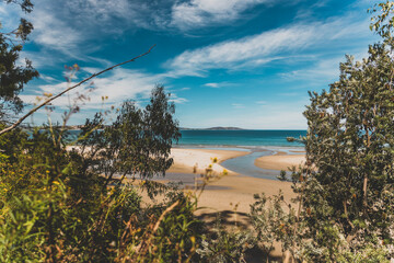 beautiful scenary of the Pacific Ocean and thick native vegetation shot from a vantage point during a hike in Southern Tasmania