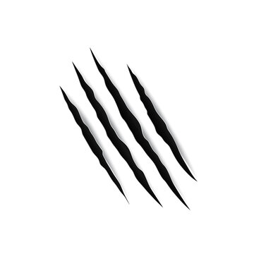 Ripped damaged texture from animal paw, trail from four nails scratches isolated bloody trace. Vector black claws animal scrape track, cat tiger scratches paw shape, Halloween design element