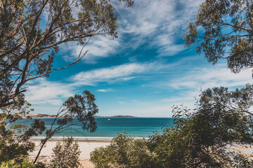 beautiful scenary of the Pacific Ocean and thick native vegetation shot from a vantage point during a hike in Southern Tasmania