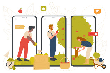 Farmers pick red apple harvest in farm garden on screens of mobile phones vector illustration. Cartoon man and woman workers farming, picking fresh fruits, collect in crates. Agriculture concept