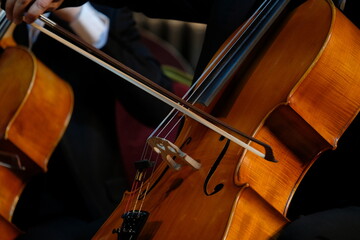 The musician holds a bow and an instrument in his hands. Symphonic music.