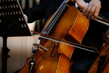 The musician holds a bow and an instrument in his hands. Symphonic music.