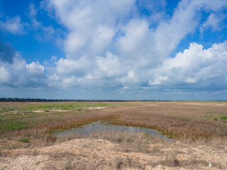 Obraz premium A blue cloudy sky over a yellow burnt-out steppe with a small puddle of water on sandy soil and sparse vegetation. Spring steppe landscape in the national Park
