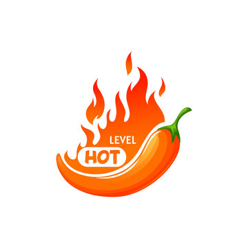 Medium level of chile pepper spicy, flame and mexican fiery food cartoon label with fire and vegetable. Vector hot level of chili, burning flavor of vegetarian cooking condiment spice, spicy scale