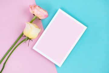 핑크와 하늘색 배경에 카드 목업
