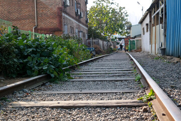 Fototapeta premium The railroad that passes through the village.